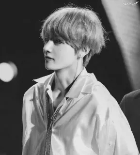 🦋 V V, BTS, K-pop, cantante, musica, idol telegram sticker