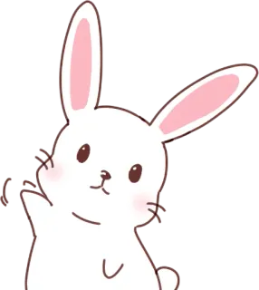 🖐️ animal, conejo, lindo, dibujos animados, conejito, blanco whatsapp sticker