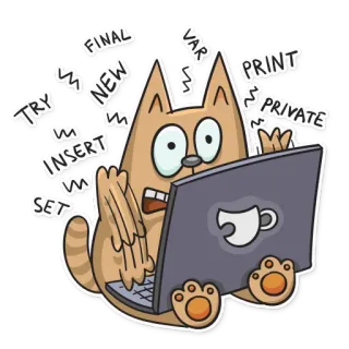 💻 FINAL NEW VAR PRINT PRIVATE TRY INSERT SET kot, komputer, kodowanie, programowanie, oprogramowanie, rozwój, programista, laptop telegram sticker