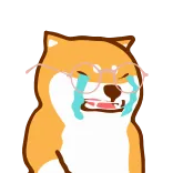 🥲 犬, 泣く, 悲しい, 感情的, 柴犬 whatsapp sticker