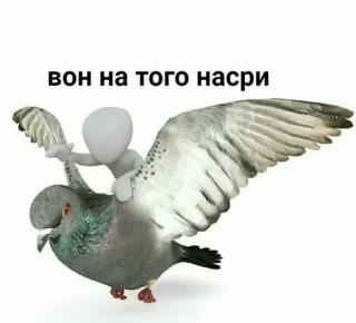 😡 вон на того насри pigeon, bird, flying, stick figure, russian, meme telegram sticker