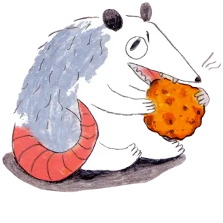 😤 opos, ciastko, zwierzę, kreskówka, słodki, dzika przyroda telegram sticker