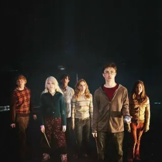 😕 Harry Potter Harry Potter, Ron Weasley, Hermione Granger, Luna Lovegood, magia, bruxos, amigos, grupo telegram sticker