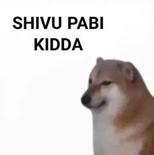 🤤 SHIVU PABI KIDDA doge, dog, meme, shibu, kida, pabi telegram sticker