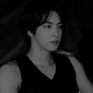 ✖️ Jin Jin, BTS, Kpop, Chanteur, Idole, Célébrité telegram sticker