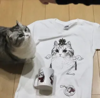🥤 cat, t-shirt, mug, pet, animal, kawaii whatsapp sticker