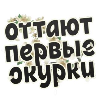 🚬 оттают первые окурки ロシア語, テキスト, 花, 吸い殻 telegram sticker