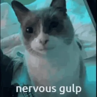 🌟 nervous gulp whatsapp sticker