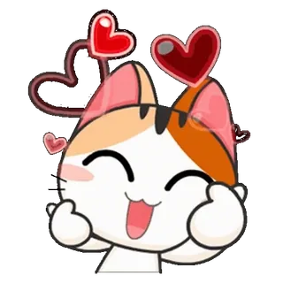 🥰 แมว, หัวใจ, น่ารัก, สัตว์, ความรัก, คาวาอิ, น่ารัก telegram sticker