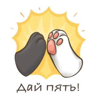 ✋ Дай пять! high five, cat paws, cute, cartoon, friendship, celebration telegram sticker