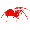 🕷️