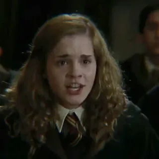 🐿 Hermione Granger Harry Potter Hermelien, Harry Potter, personage, film, fantasie telegram sticker