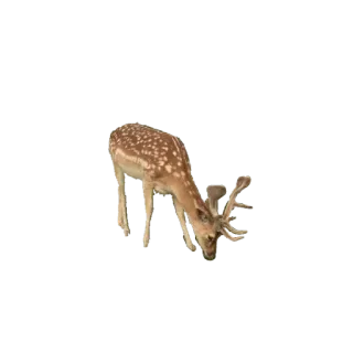 @wisdom_droplets A Animals — @stckrRobot telegram stickers