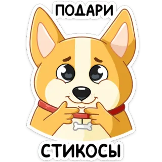 🎁 ПОДАРИ СТИКОСЫ chien, corgi, mignon, animal, autocollant, dessin animé whatsapp sticker