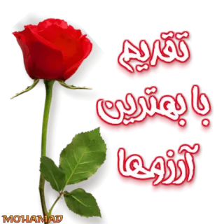 golab 🌸 whatsapp stickers