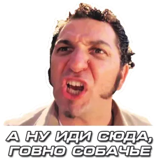 💩 А НУ ИДИ СЮДА, ГОВНО СОБАЧЬЕ enfadado, hombre, insulto, ruso telegram sticker