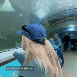🍵 얘네 귀엽게 생겼어 빨리 봐! aquarium, poisson, tunnel, chapeau bleu, animaux, tourisme telegram sticker
