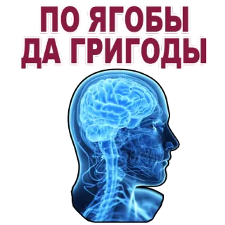 😝 ПО ЯГОБЫ ДА ГРИГОДЫ brain, anatomy, russian text telegram sticker