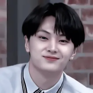 🫐 whatsapp sticker
