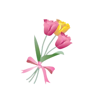 😄 fiori, bouquet, tulipani, floreale, nastro rosa telegram sticker