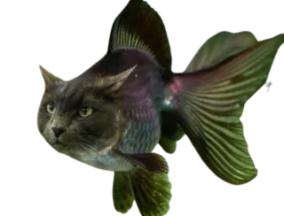 😾 cat, fish, hybrid, animal, fantasy, creature telegram sticker
