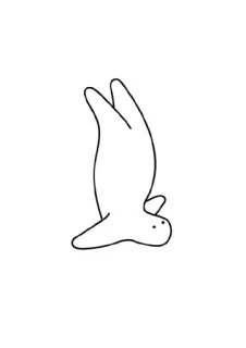🕸 만화, 미니멀리즘, 동물, 귀여운, 새, 라인 아트, 단순한 telegram sticker