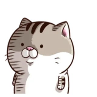 😨 cat, animal, sticker, cute telegram sticker