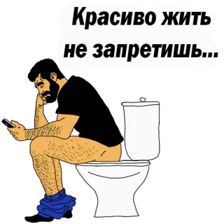 😡 Красиво жить не запретишь... man, toilet, zittend, smartphone, badkamer, humor telegram sticker