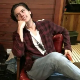 🍁 Cole Sprouse pessoa, homem, ator, retrato, celebridade telegram sticker