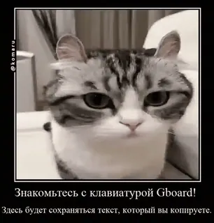 😝 Gboard Знакомьтесь с клавиатурой Gboard!
Здесь будет сохраняться текст, который вы копируете. gato, teclado, Gboard, texto, russo whatsapp sticker