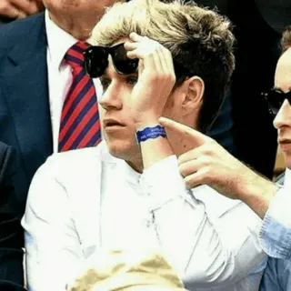 🍕 Niall Horan Niall Horan, One Direction, gafas de sol, celebridad, músico telegram sticker