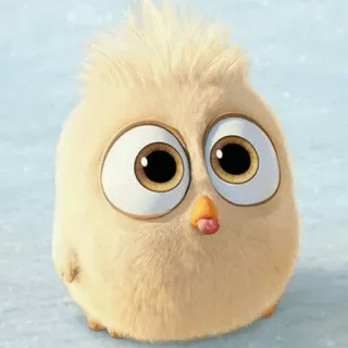 😋 птица, милый, животное, цыпленок, желтый, пушистый telegram sticker