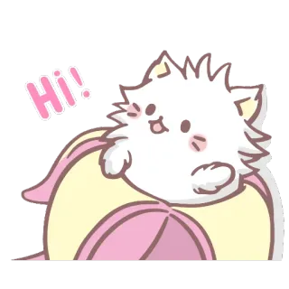 👋 Hi! mèo, mèo con, dễ thương, động vật, thú cưng, kawaii, xin chào, lời chào telegram sticker