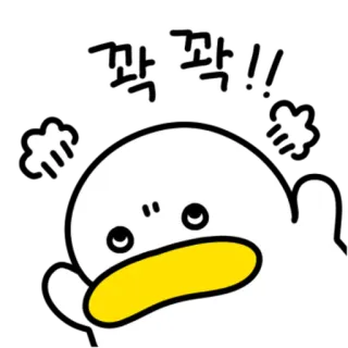 💬  짝짝!! 鸭子, 动物, 卡通, 可爱, 插图, 韩语 telegram sticker