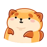 💪