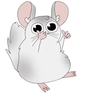 👍 chinchilla, dibujos animados, lindo, animal, roedor, gracioso telegram sticker