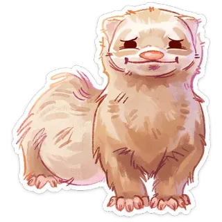 ⭐ furão, animal, fofo, desenho animado, animal de estimação telegram sticker