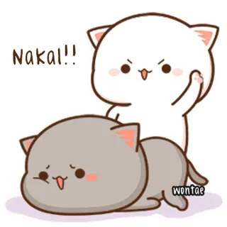 🍥 Nakal!! Katze, Kätzchen, Tiere, süß, Stinkefinger telegram sticker