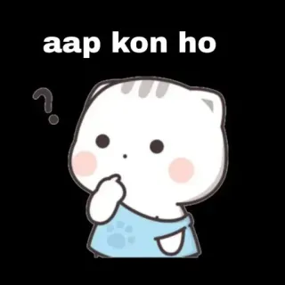 🤔 aap kon ho 猫, 質問, 考え中, かわいい, 可愛い, あなたは誰 telegram sticker