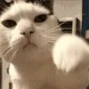 👊