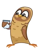 ☕️ coruja, desenho animado, pássaro, animal, fofo whatsapp sticker