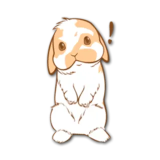 ❗ うさぎ, 動物, かわいい, ペット, 漫画, アニメ telegram sticker