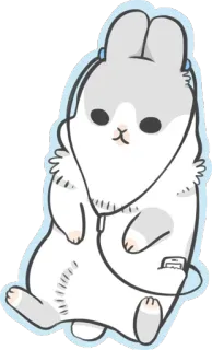 🎶 królik, słodki, zwierzę, naklejka, królik, uroczy telegram sticker
