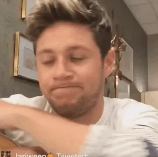 🎸 Niall Horan músico, cantor, celebridade, retrato, One Direction, masculino telegram sticker