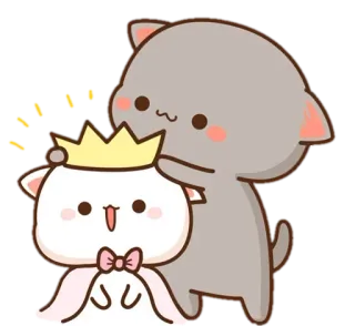 ✨ mèo, vương miện, dễ thương, động vật, nhãn dán telegram sticker