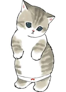 🩲 cat, kitten, animal, cute, pet telegram sticker