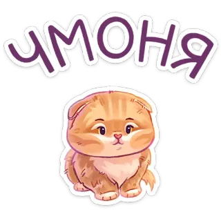 🥺 умоня 猫, かわいい, 子猫, ペット, 動物, スコティッシュフォールド telegram sticker