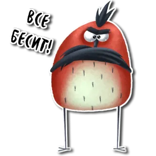 Пташки telegram stickers
