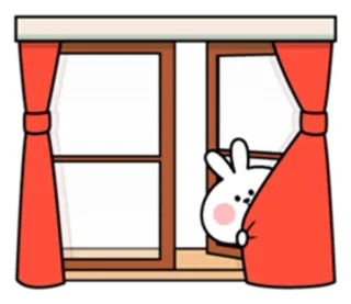 👀 Hase, gucken, Fenster, Gardinen, süß, Animation telegram sticker