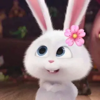 🌸 Snowball The Secret Life of Pets Hase, Häschen, süß, Blume, Haustier, animiert telegram sticker